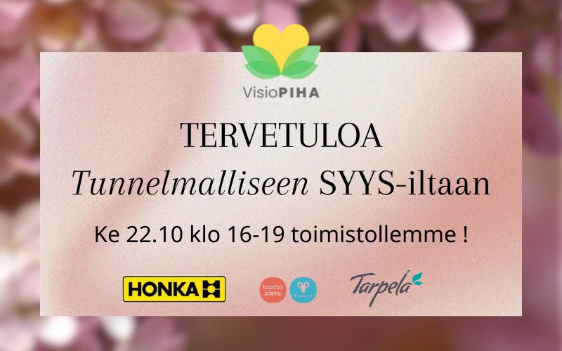 Syys-ilta VisioPihan toimistolla