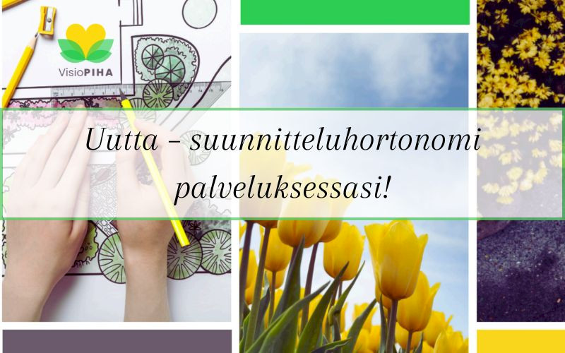 Suunnitteluhortonomi palveluksessasi
