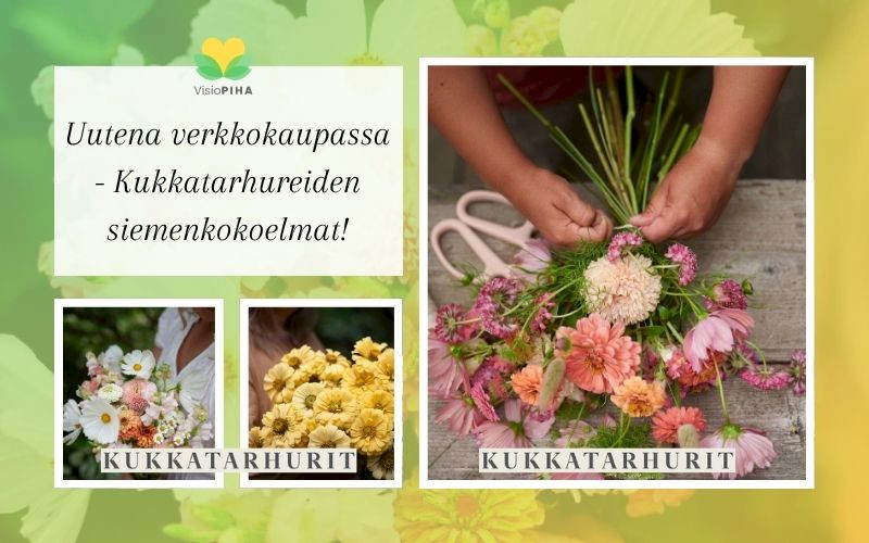 visiopihan verkkokaupan uutuus - kukkatarhurien siemenkokoelmat!