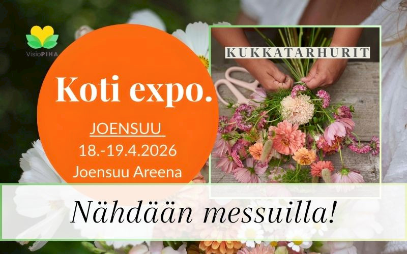 Visiopiha mukana Koti expo. messuilla Joensuussa 18.–19.4.2026