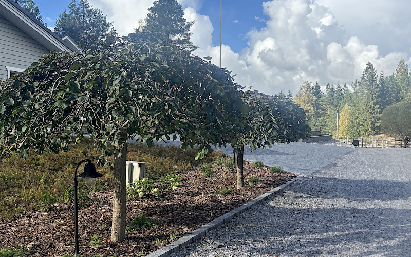 Pihaurakointi 2026 Turenki